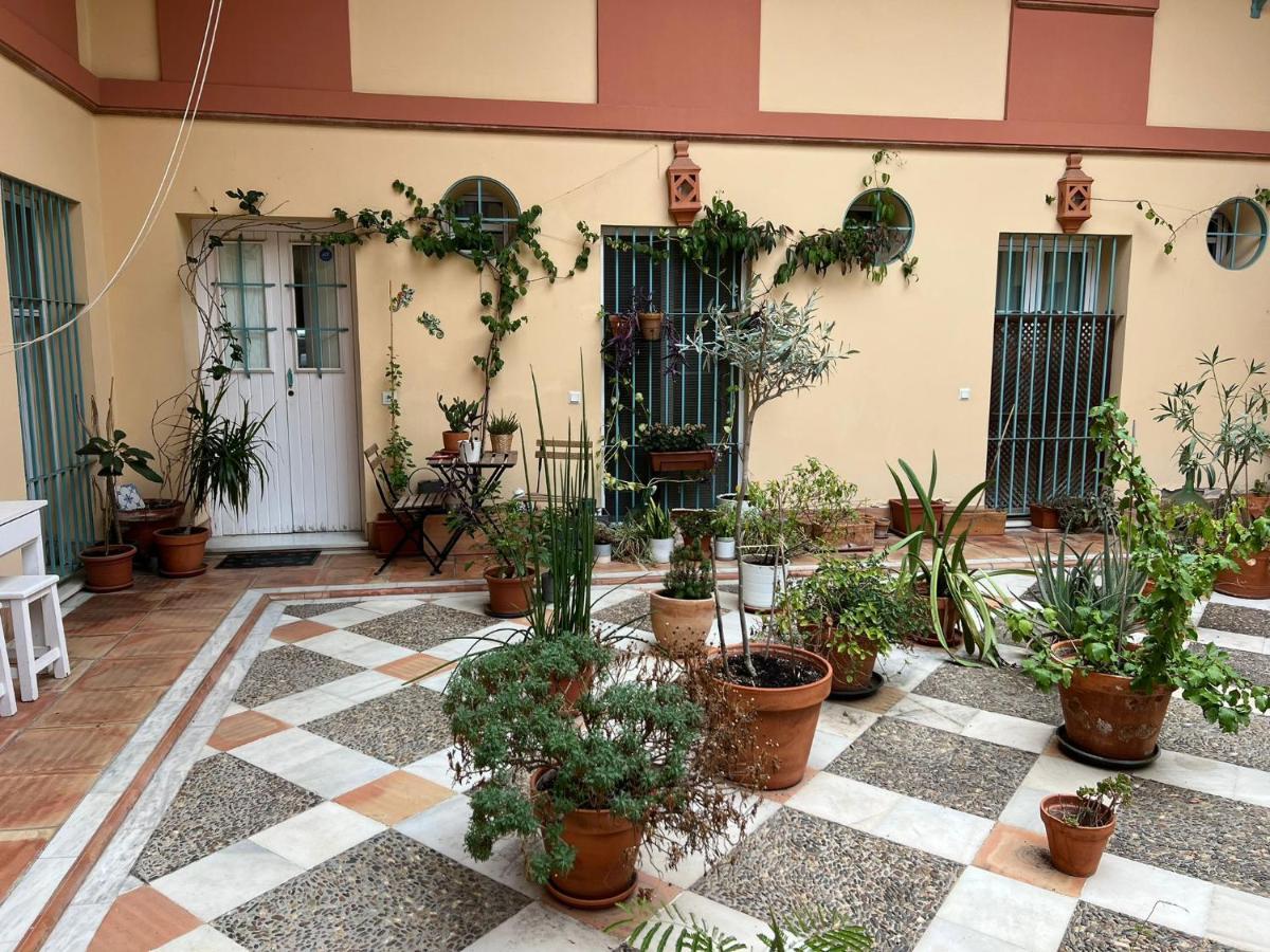 180 Precioso Con Patio San Bernardo 4